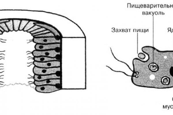 Кракен официальная kr2web in