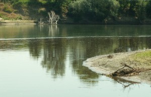 Kraken 26 at