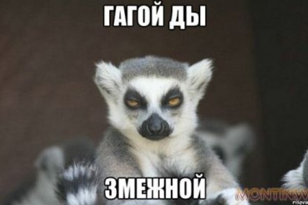 Даркнет ссылка