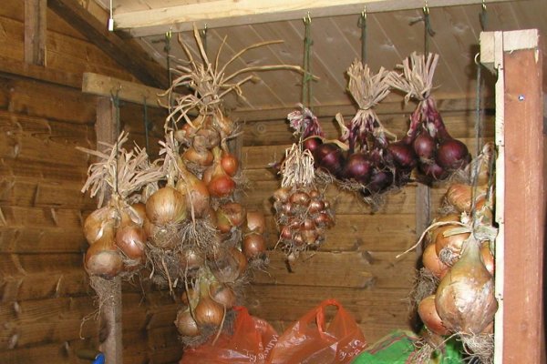 Кракен ссылка официальная в тор