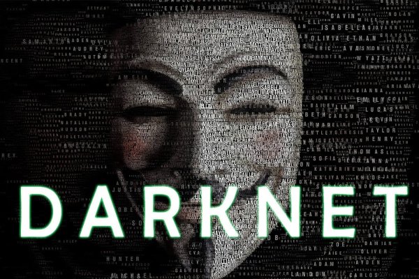 Kraken 12