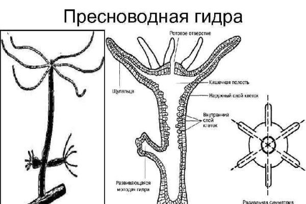 Кракен сайт с наркотиками